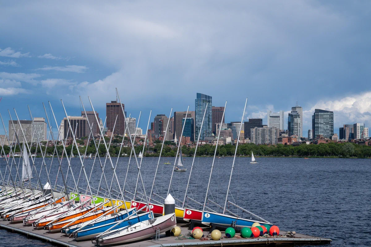 Rows of small sailboats moored beside the river, with city buildings beyond.