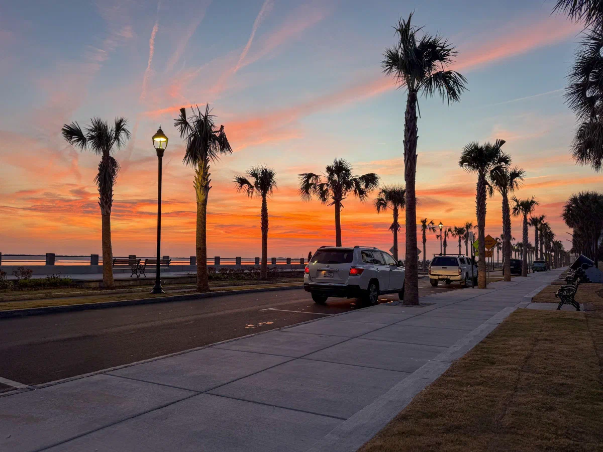 Palm trees and street lamps silhouetted against an orange and pink sunset beside the water.