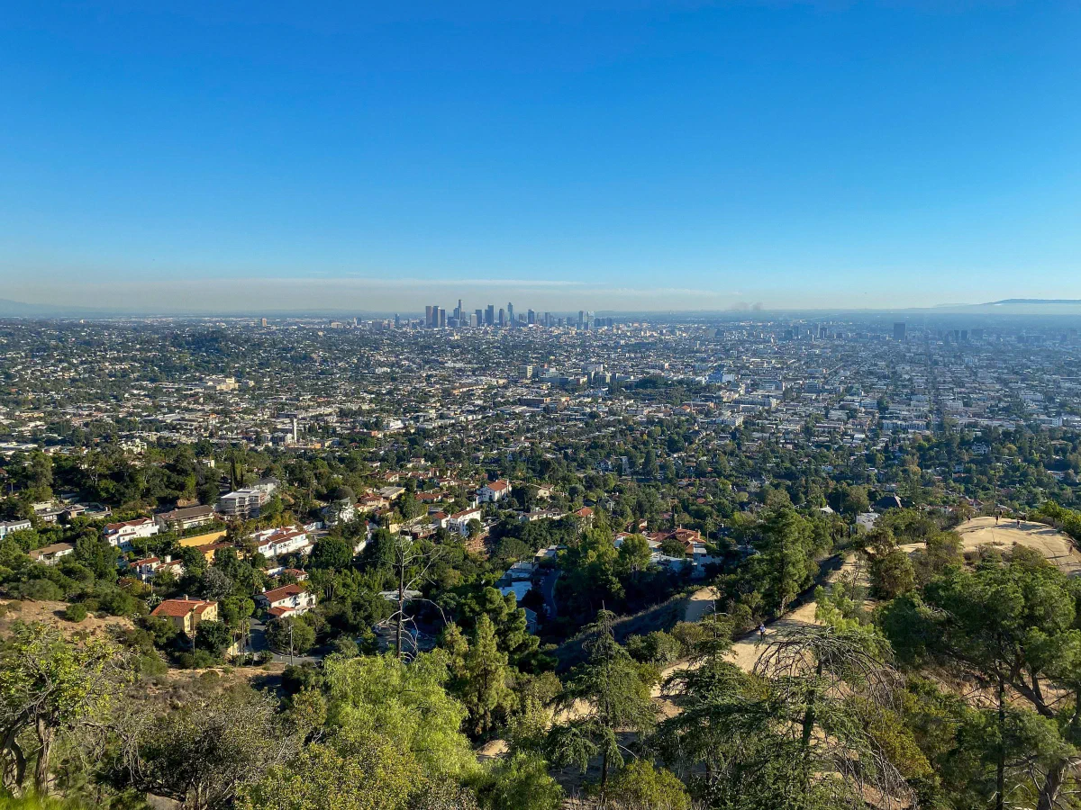 A sprawling city seen from a hillside, with tall buildings on the distant horizon.