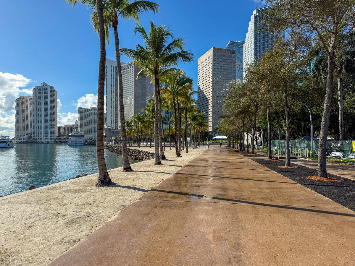 A palm-lined waterfront promenade with tall buildings across the water.