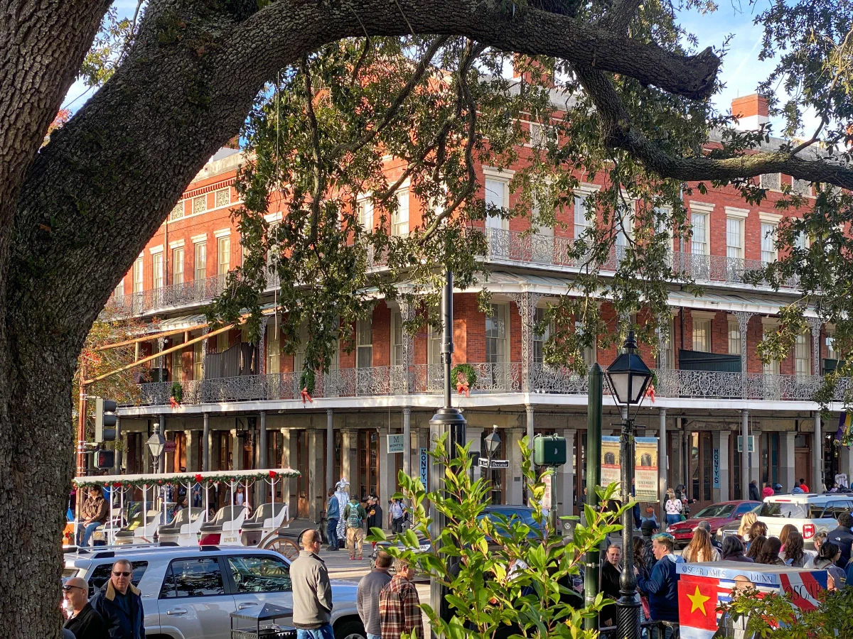 A large tree framing a busy street and a red brick building with balconies.