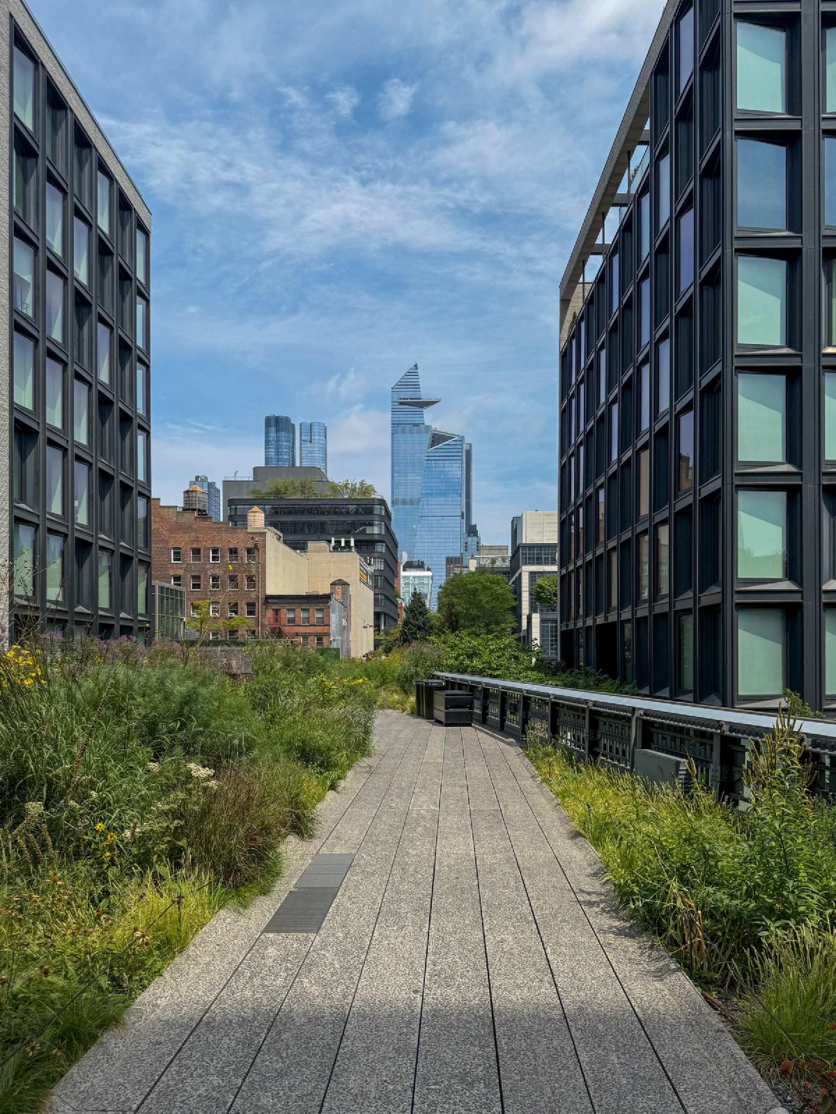 A planted walkway between modern buildings with the skyline in the distance.