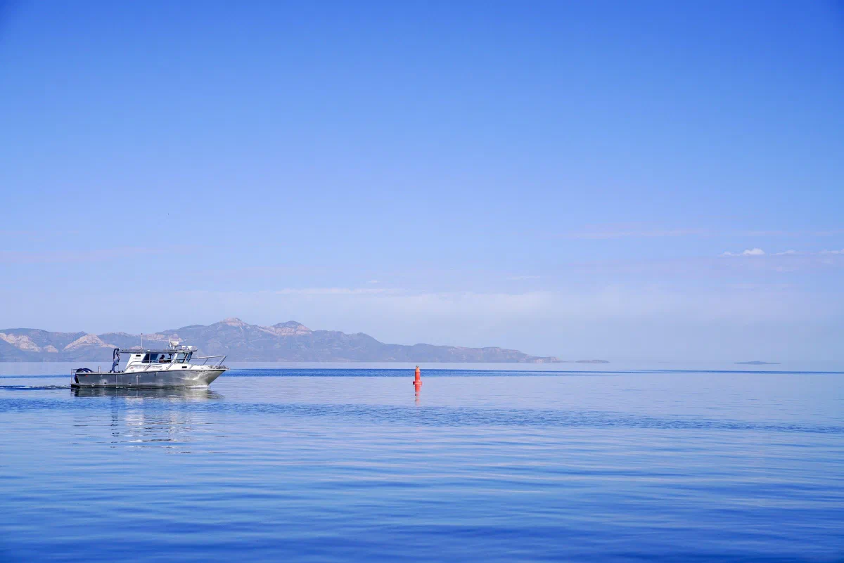 A white boat floating on calm blue water with pale mountains in the distance.