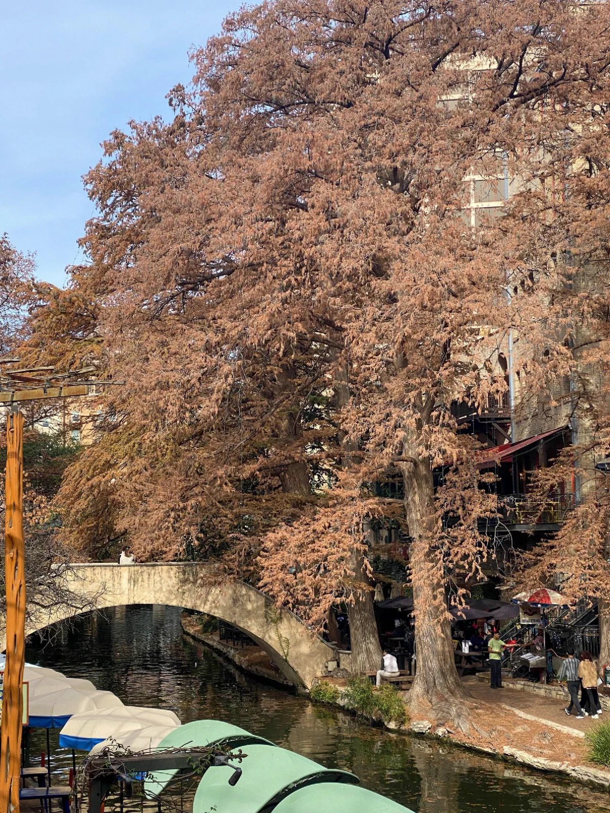 A stone bridge over a canal beneath a large tree with brown leaves.
