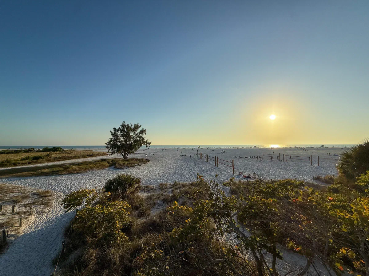 The low sun shining over a sandy beach bordered by grass and shrubs.