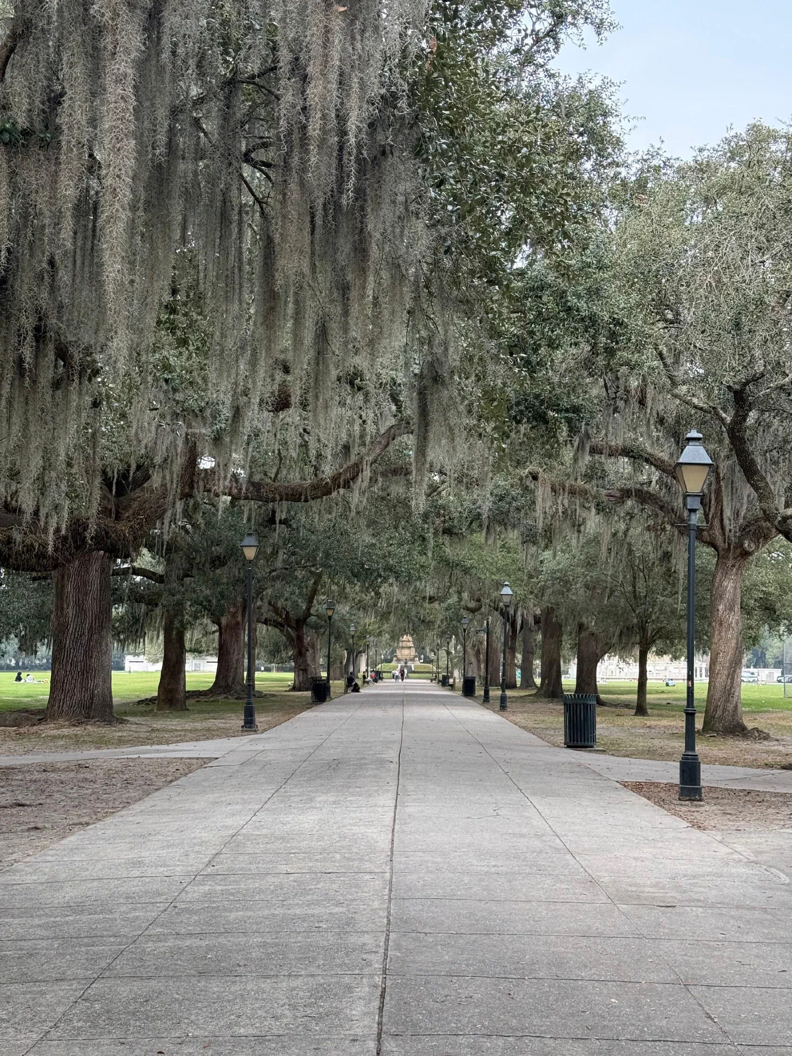A broad walkway lined with trees draped in hanging moss.