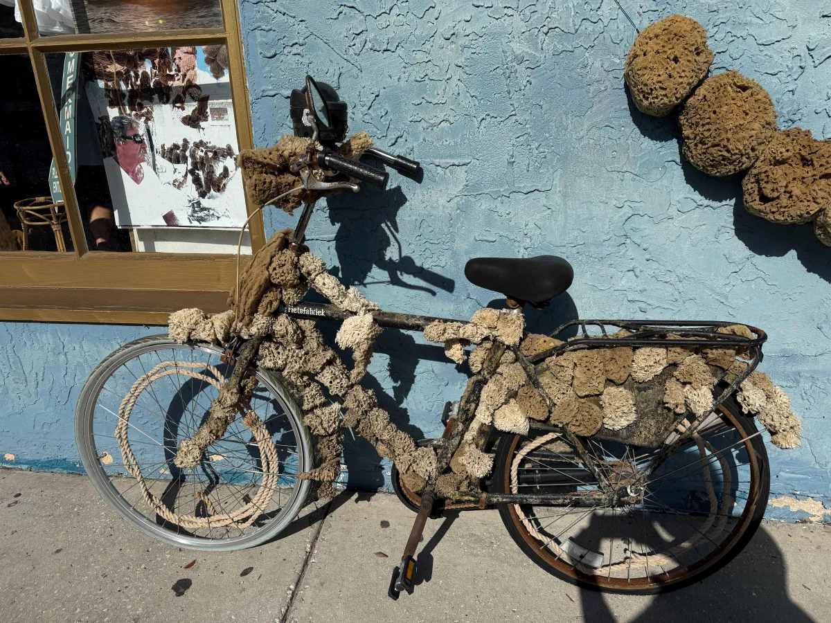 A bicycle covered with natural sponges in front of a pale blue wall.