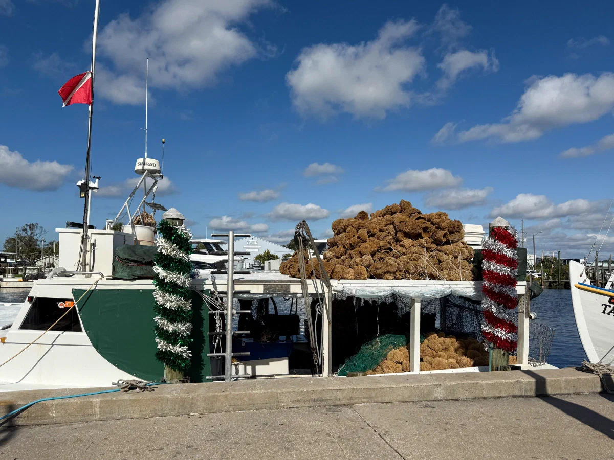 A moored boat loaded with natural sponges beside a paved waterfront walkway.