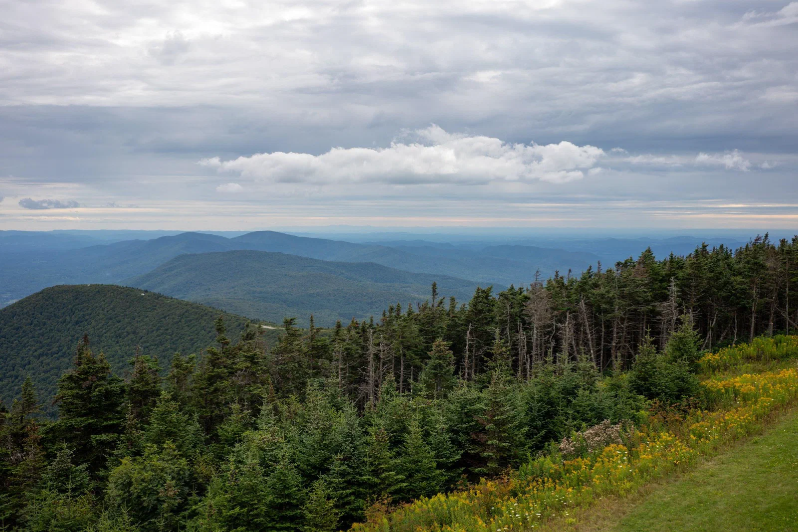 Layers of forested mountains extending beneath an overcast sky.