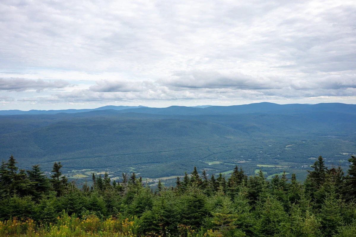 A broad forested valley and layered mountain ridges beneath a cloudy sky.