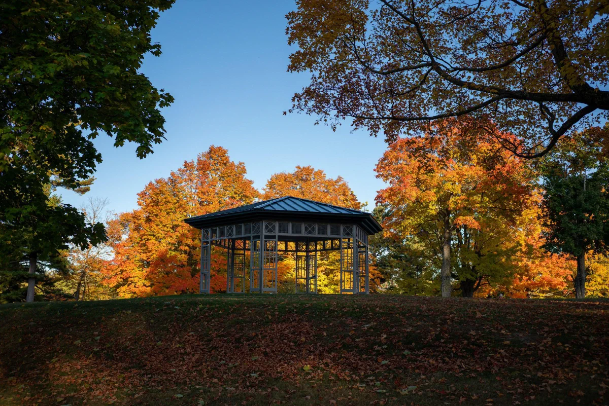 A small wooden gazebo surrounded by trees in autumn foliage.