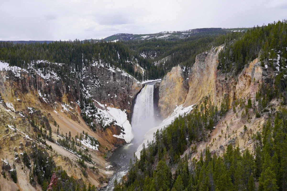 A waterfall dropping into a steep rocky canyon bordered by evergreen trees and snow.