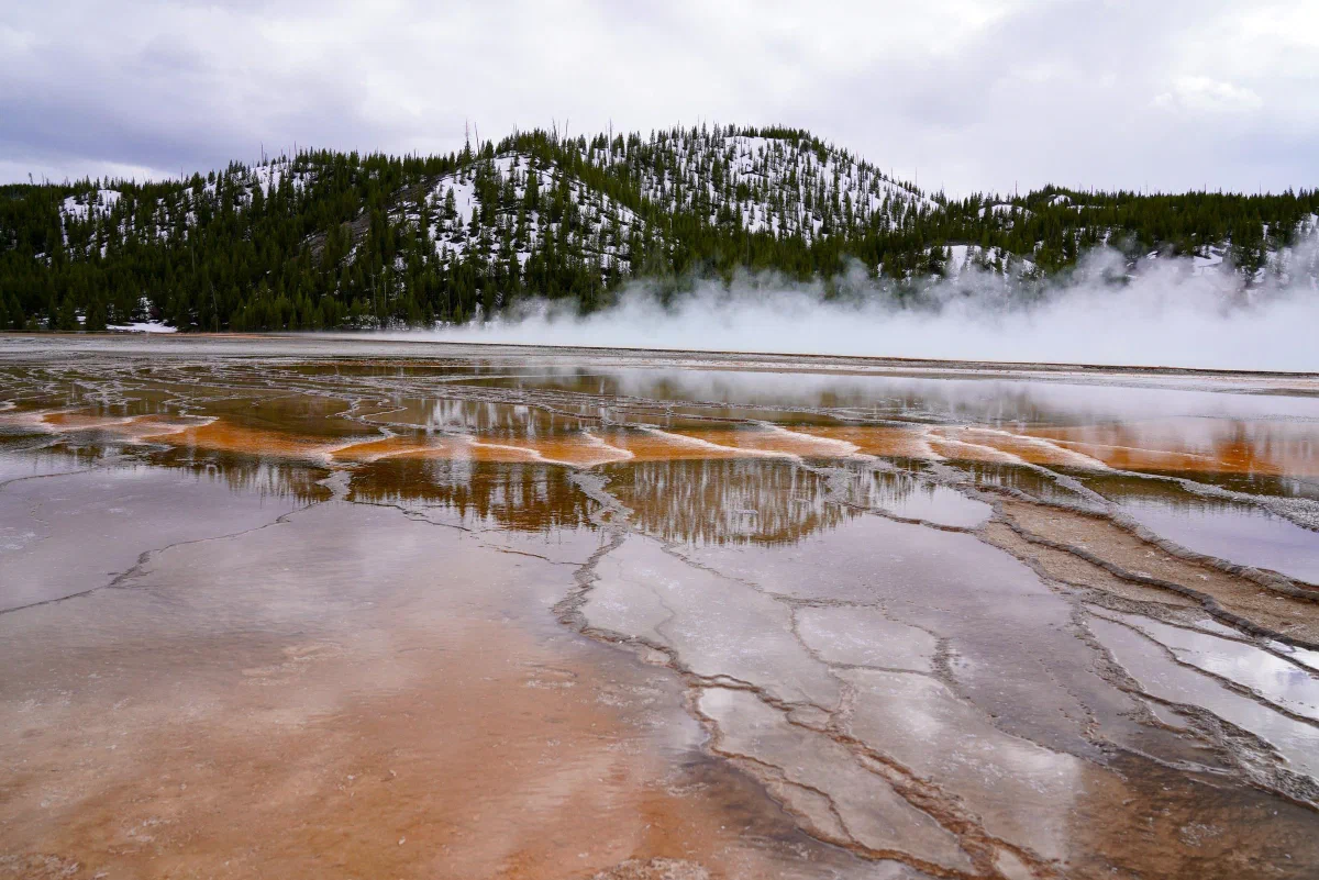 Steam drifting over orange and pale mineral pools near a snowy forest.