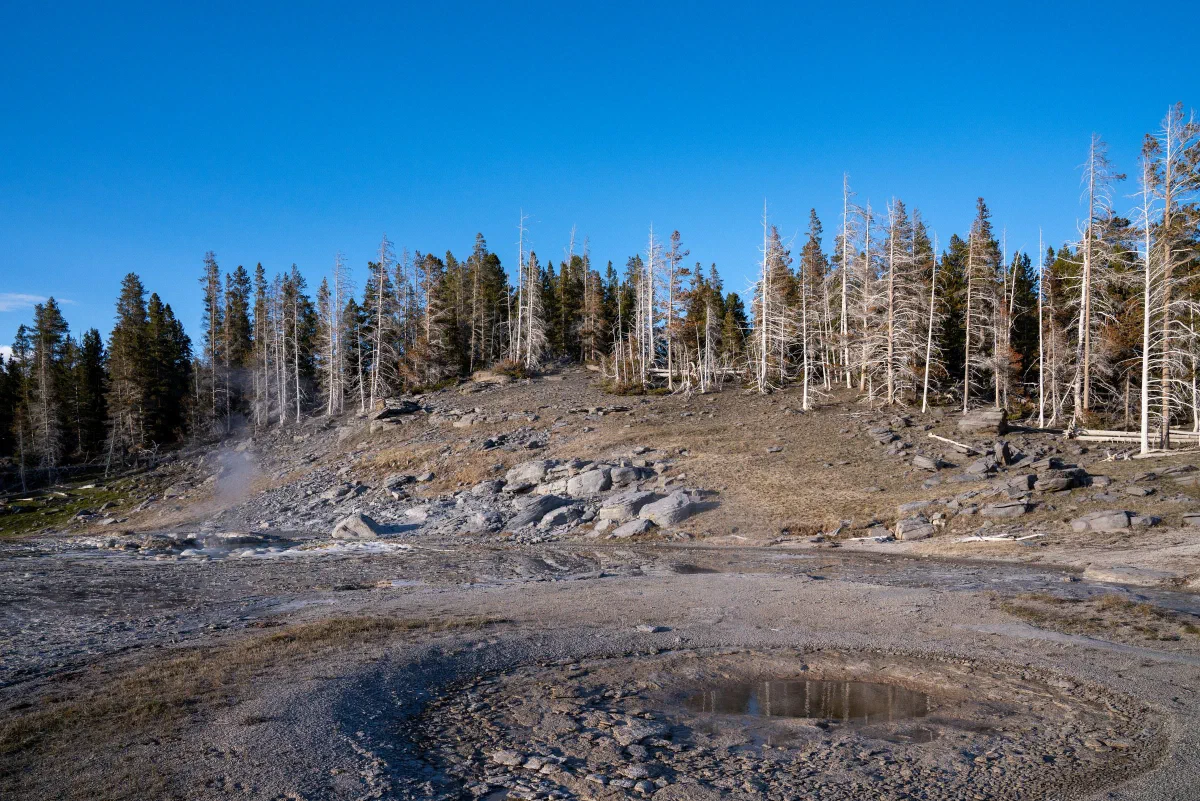 A shallow steaming pool beside bare ground and a hillside of sparse trees.